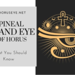 Eye of Horus pienal gland