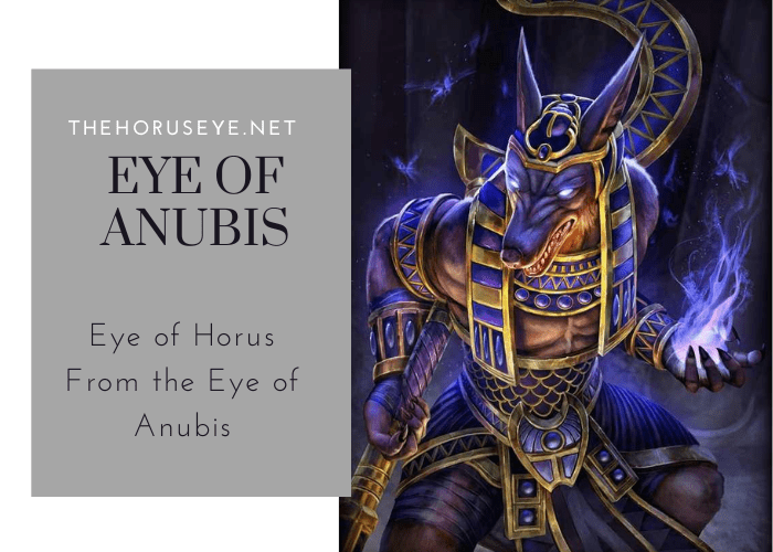 horus vs anubis